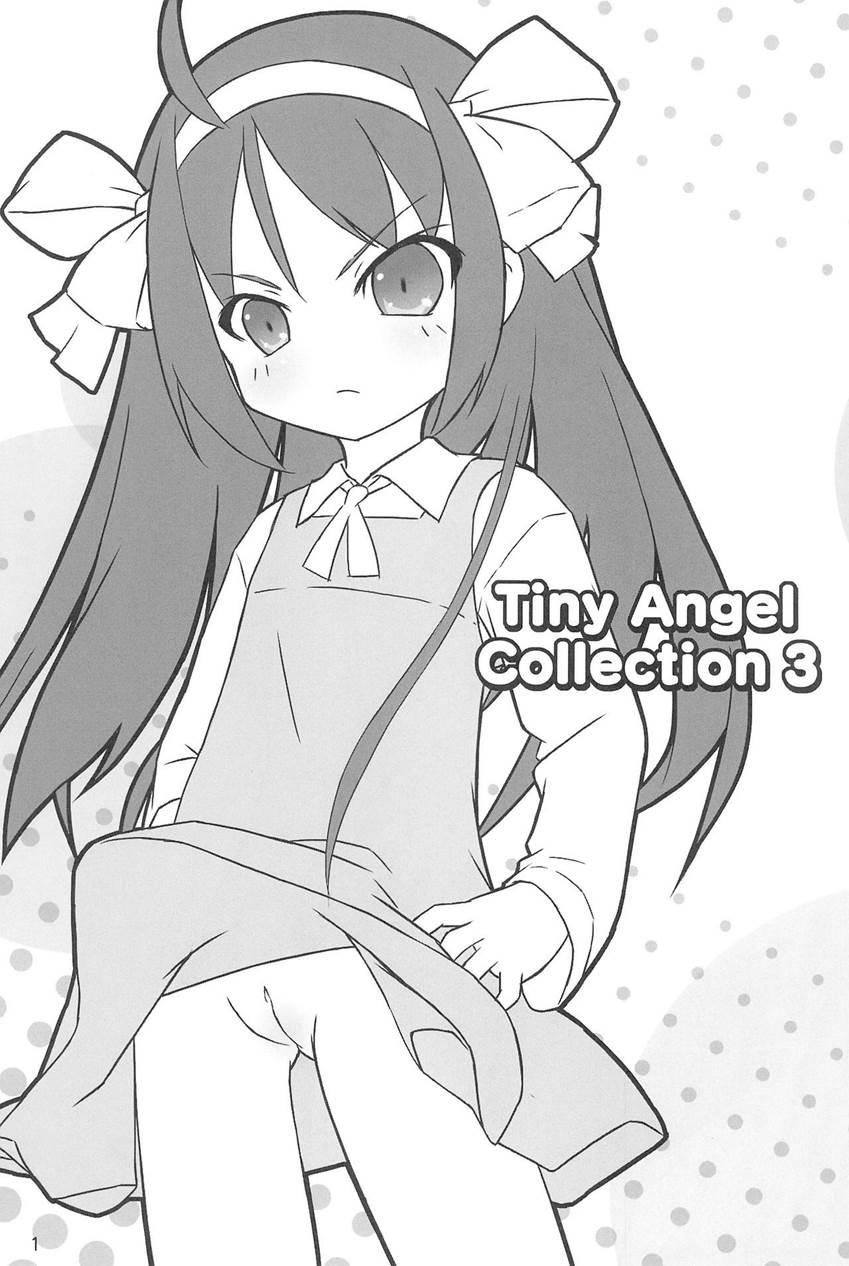 Tiny Angel Collection 3