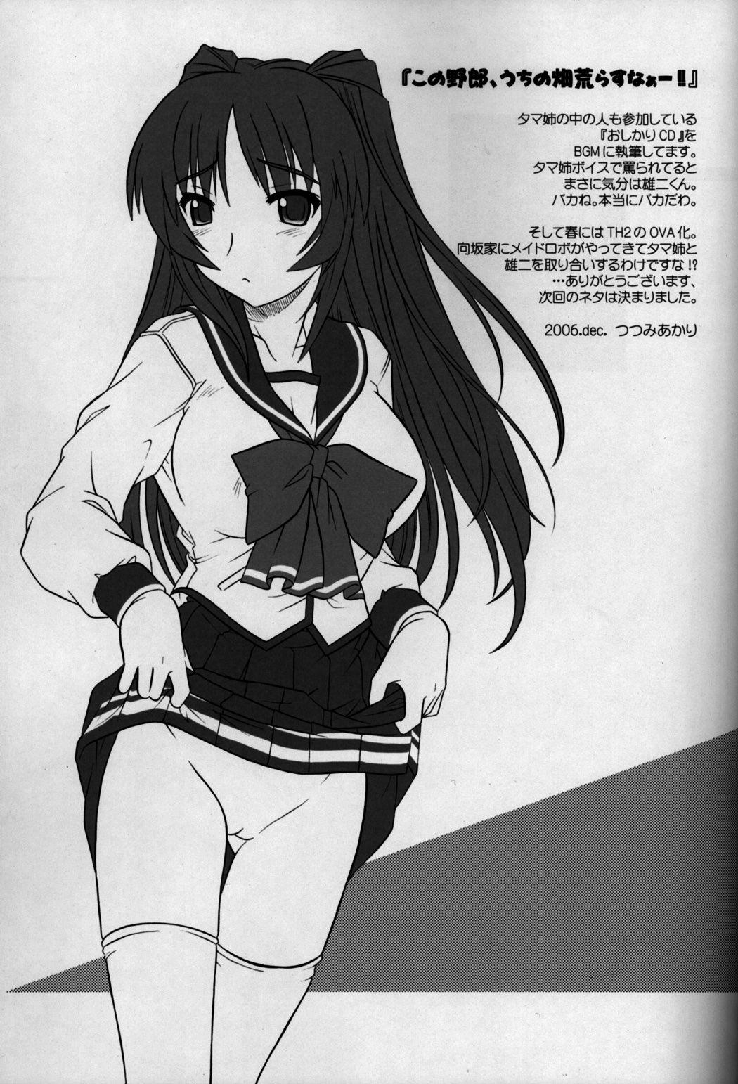 To Heart 2 Dj - Toyheart 4
