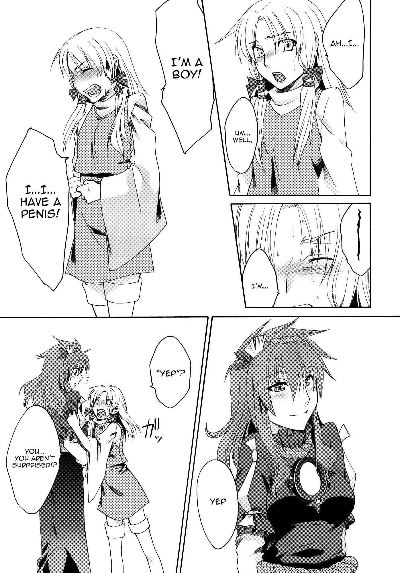 Touhou Dj - Beloved Other 1