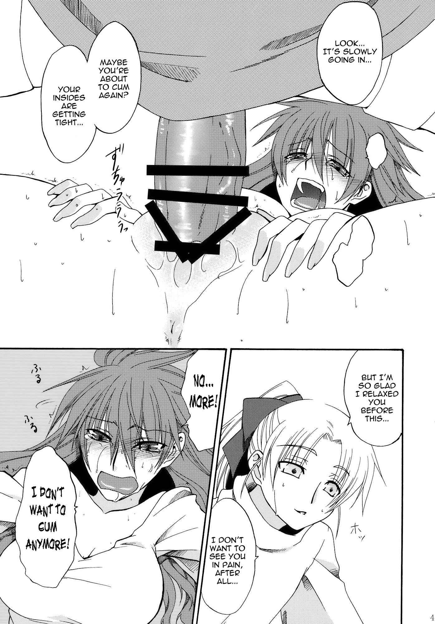 Touhou Dj - Beloved Other 1