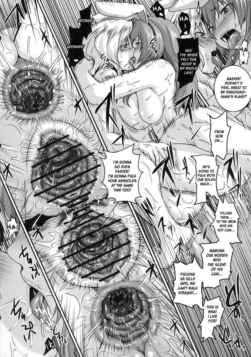 Touhou Dj - Dakyou 3