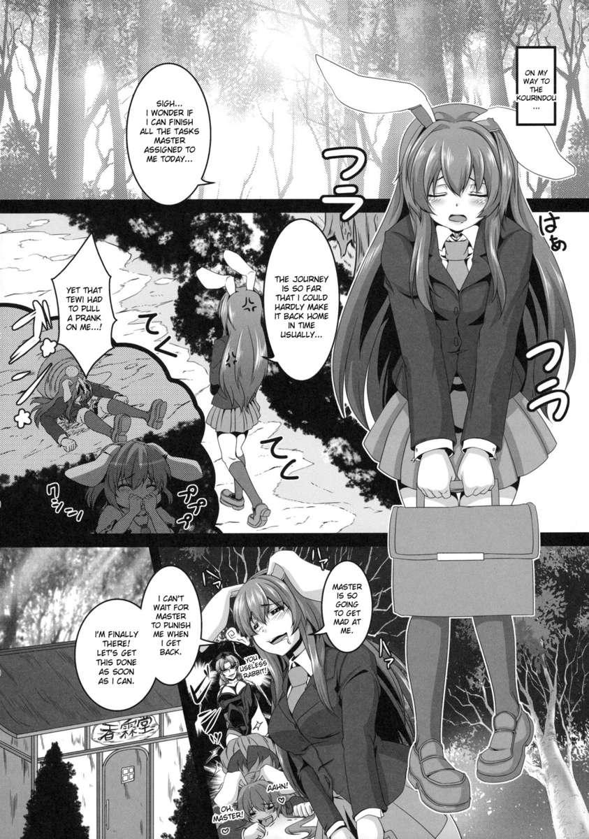 Touhou Dj - Dakyou 4