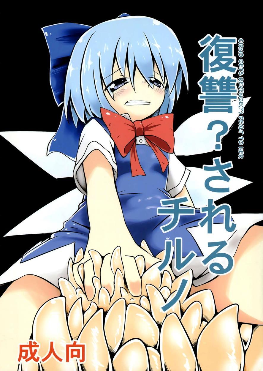Touhou Dj - Fukushuu Sareru Cirno 1