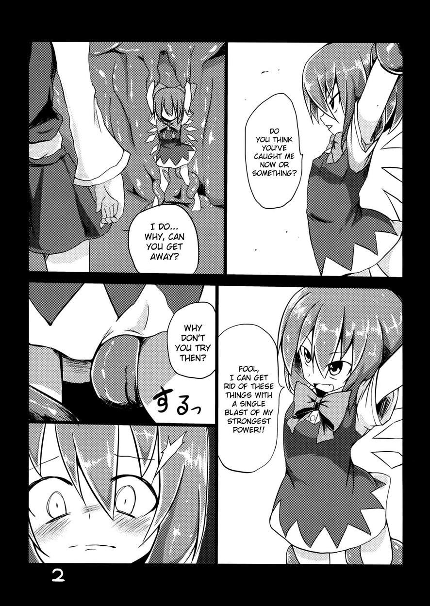 Touhou Dj - Fukushuu Sareru Cirno 1