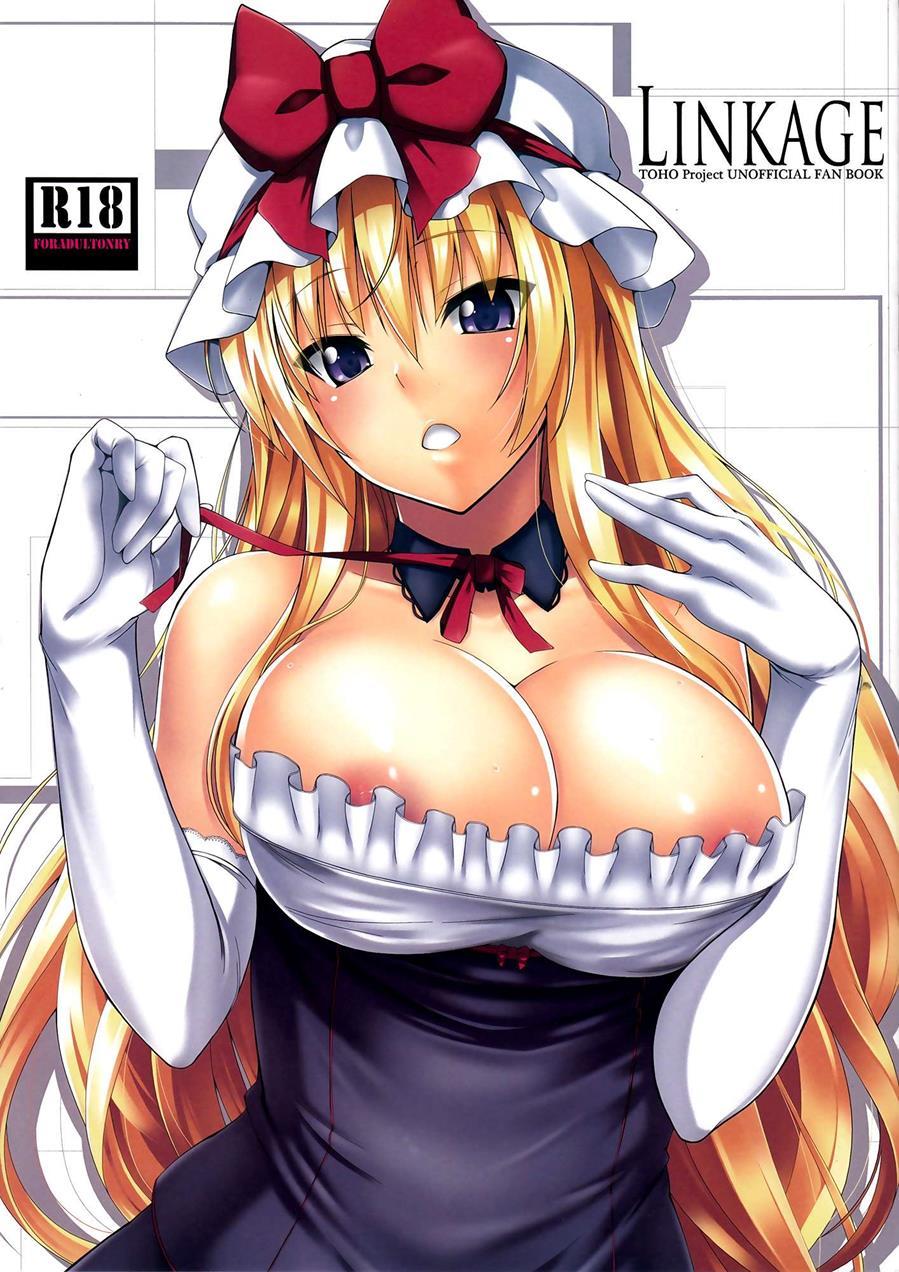 Touhou Dj - Linkage 1
