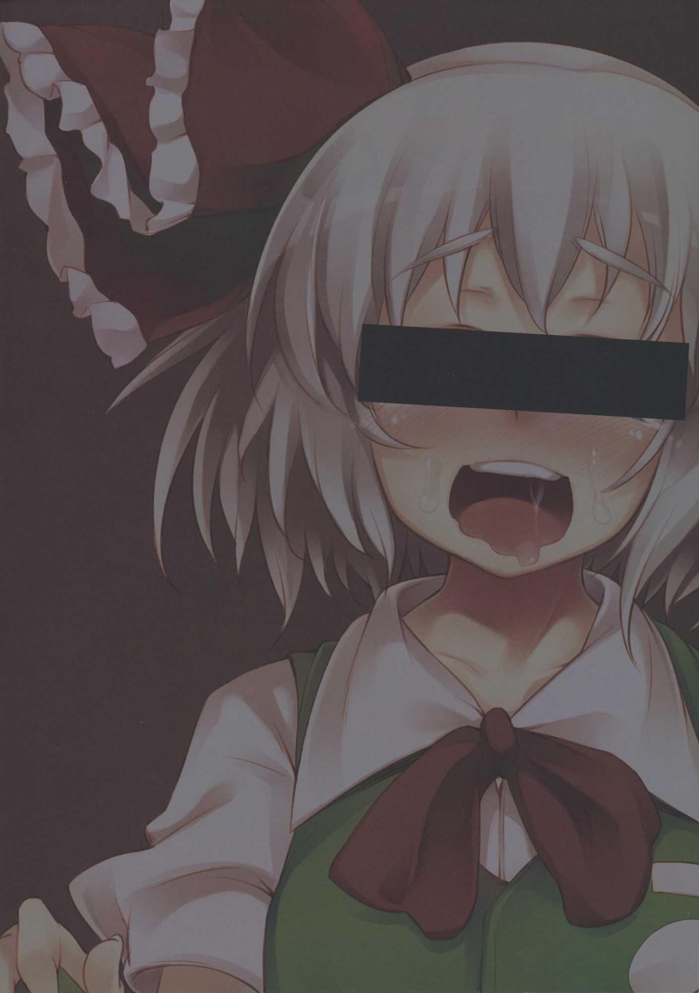 Touhou Dj - Shinreibyou Ana Ex 1