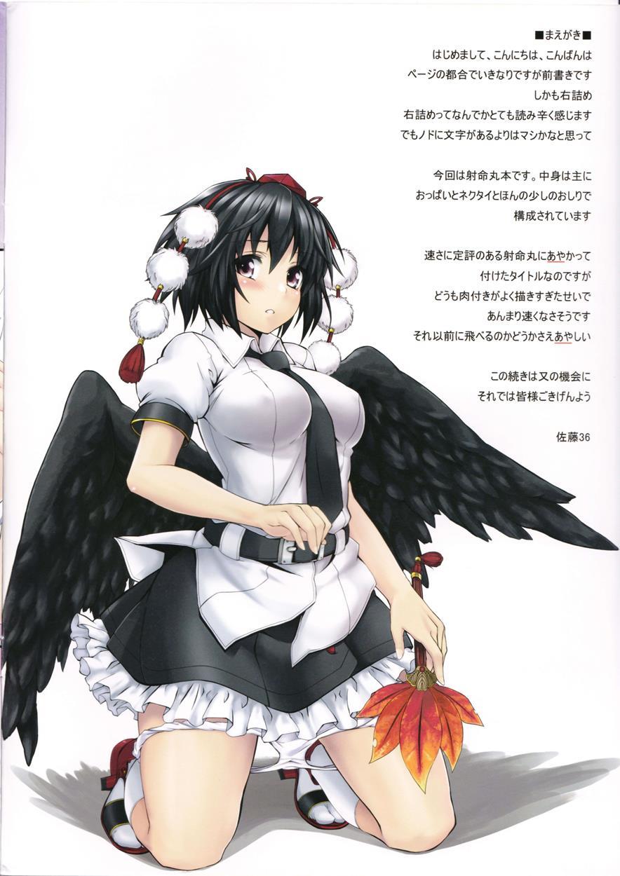 Touhou Dj - Speed 1
