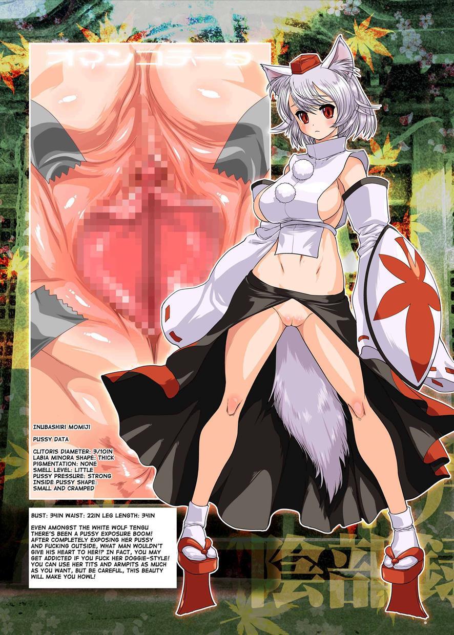Touhou Dj - Touhou Genital Record 1