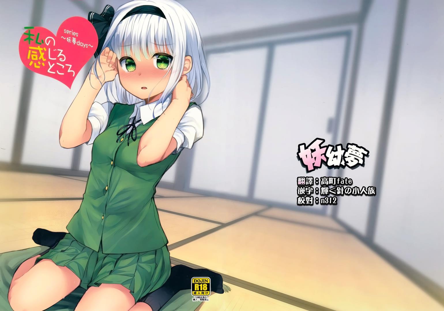 True Feelings ~youmu Days~ 3