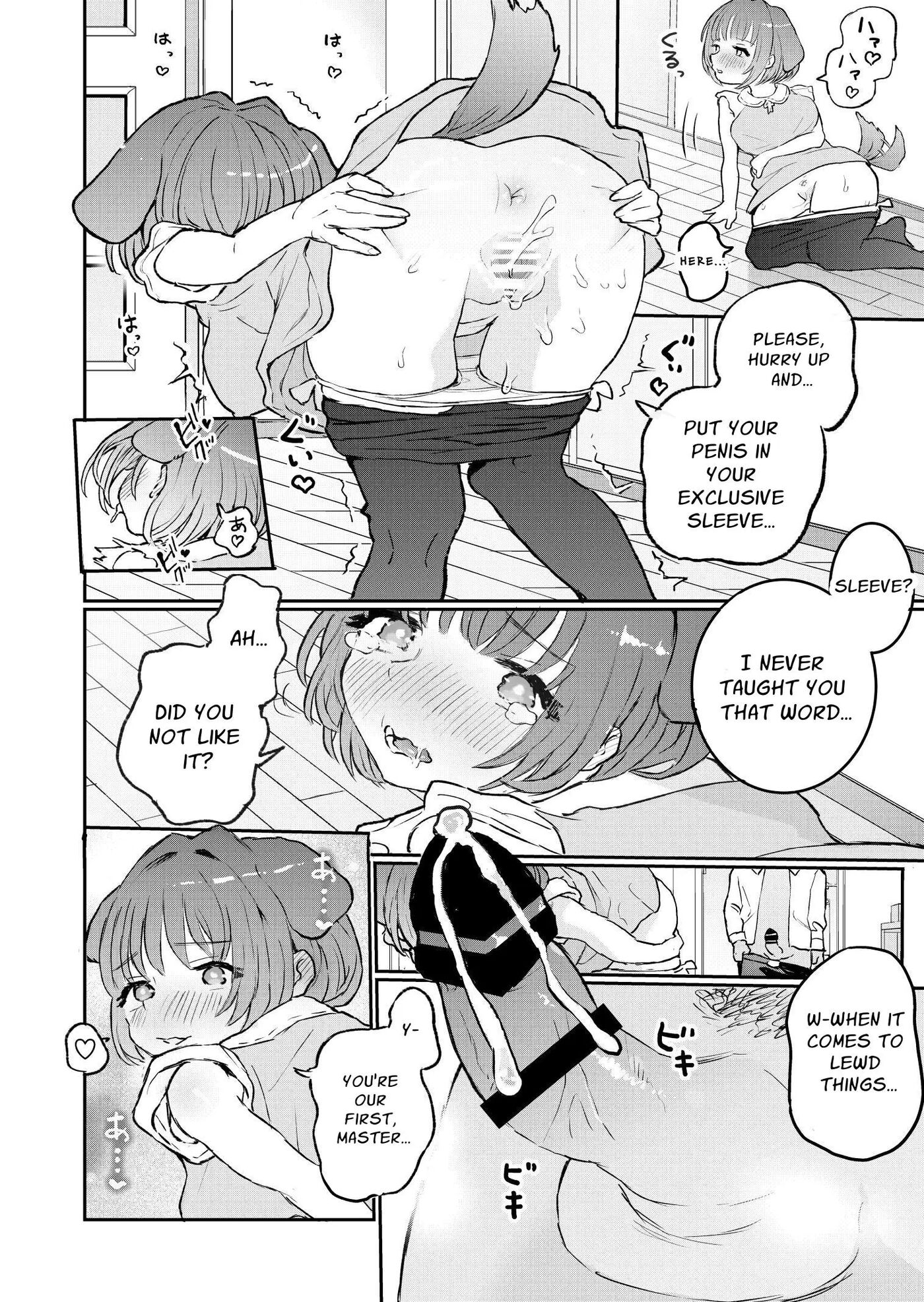 Welcome Home Pets Who Want Their Master's Affection 1