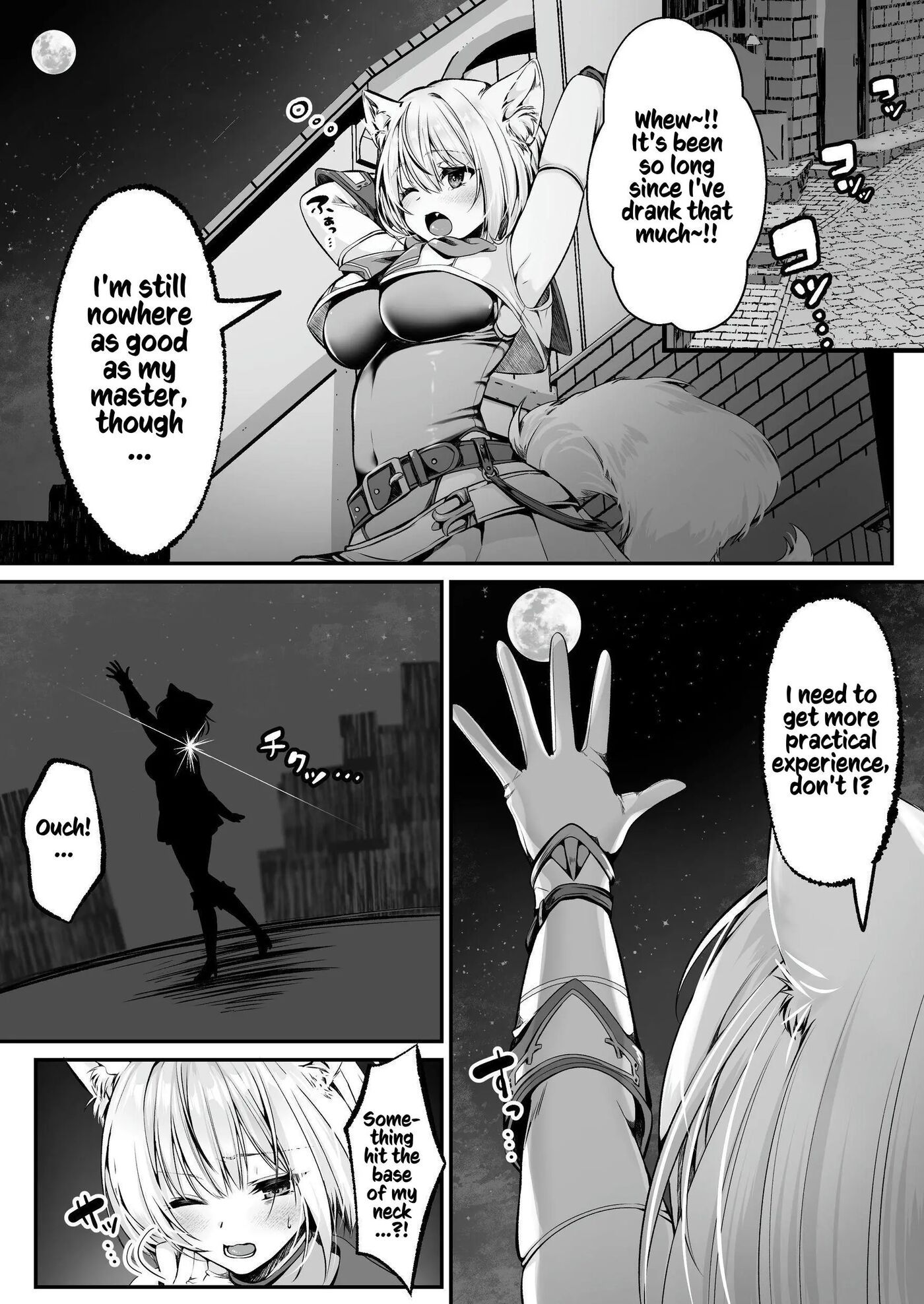 White Wolf Swordswoman's Erotic Adventure 1