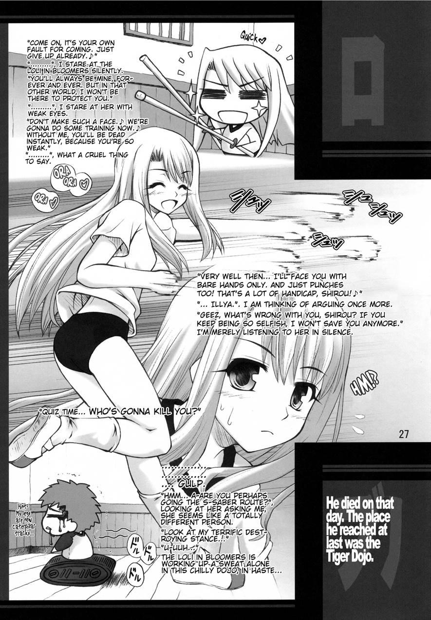Winter In Einzbern 1