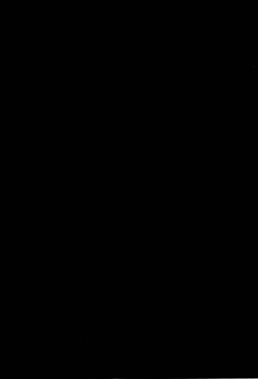 Yamitsuki Sybilla 1