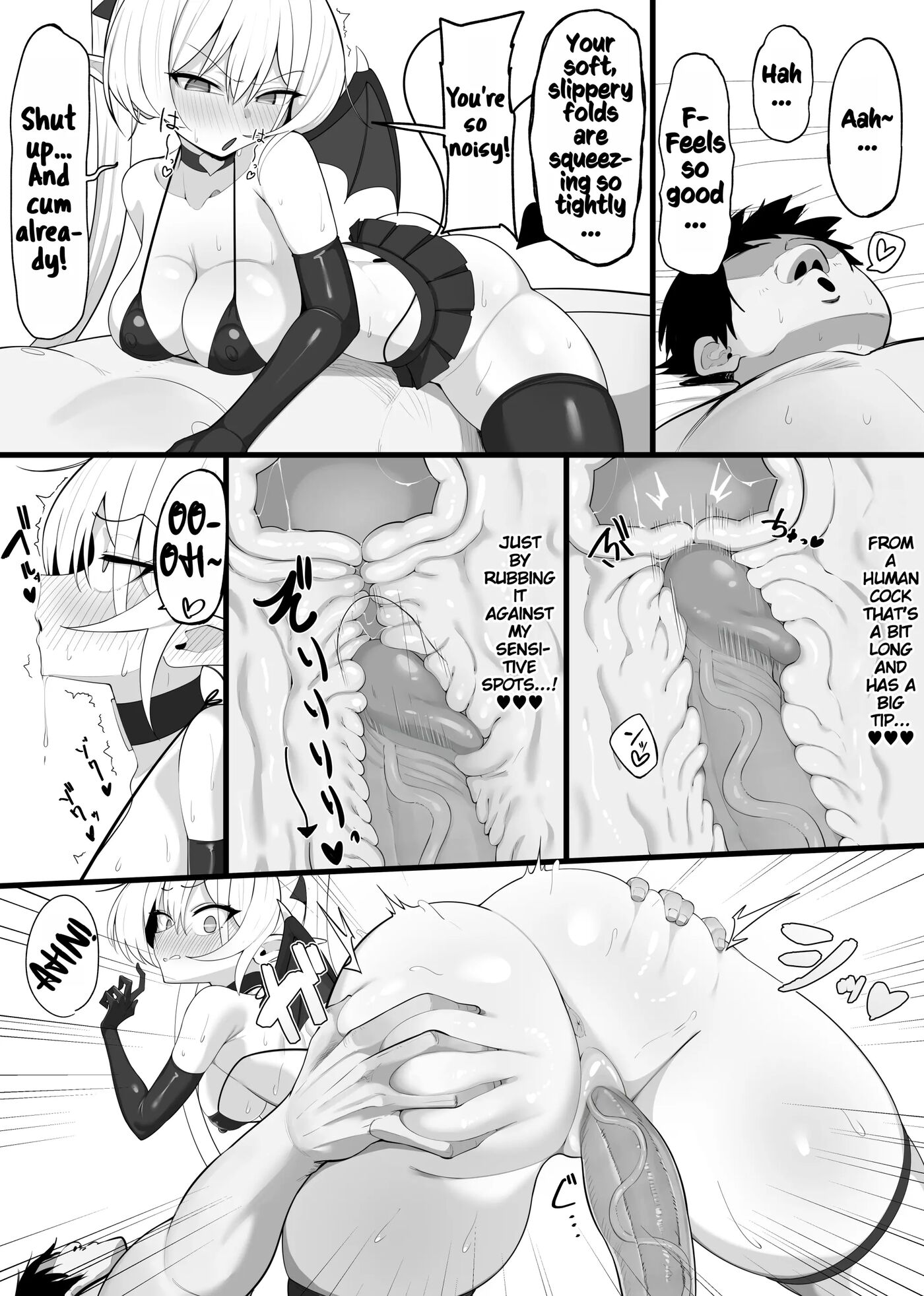 You Shall Be The Succubus's Prey! 1