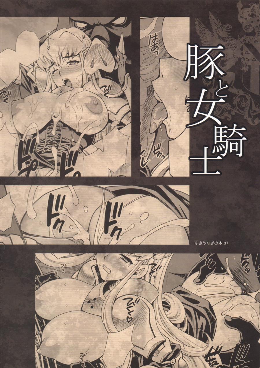 Yukiyanagi No Hon 37