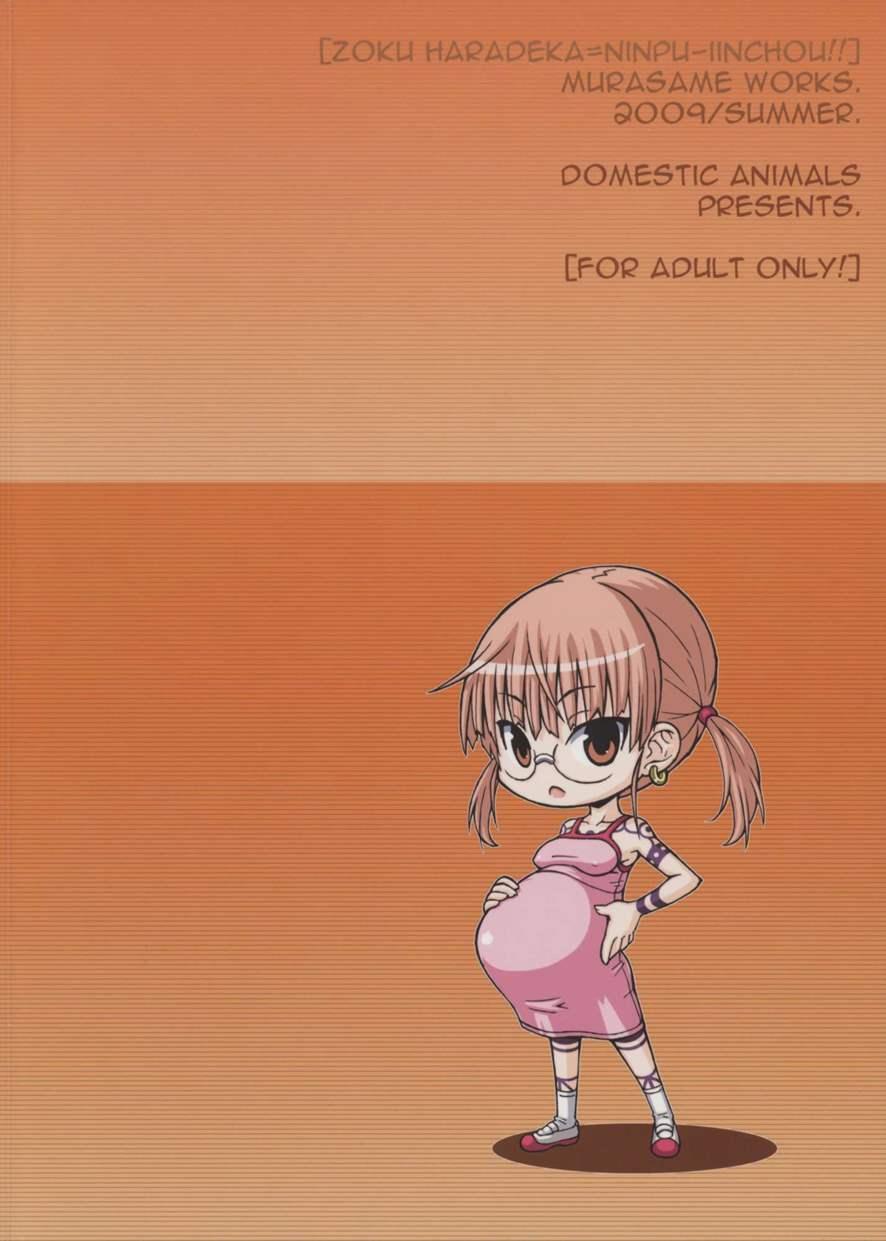 Zoku Haradeka!! Ninpu Iinchou 1